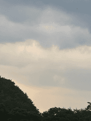 단편 조각글 모음집