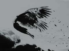 Quomode cecidisti de caelo lucifer-