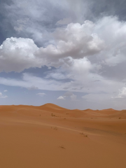 [사소사쿠] 이 모든 것은 네 행복을 위하여