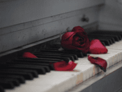 𝙿𝚒𝚊𝚗𝚘 𝙲𝚘𝚗𝚌𝚎𝚛𝚝𝚘 𝙽𝚘.𝟷 𝙾𝚙.𝟺