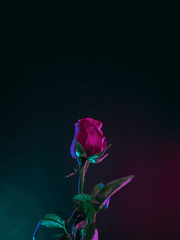 이름 없는 남자