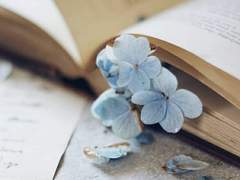 미하루 린ㅣ女ㅣ19