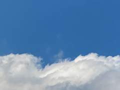 여름 수확-도입부