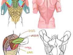 2022년 6월 25일 (토) <해부학>
