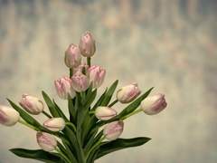 [화련] 6월 10일.