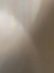 여름 ) 연애미수