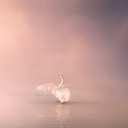 Thank’s for watching