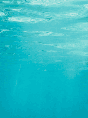 어두운 바다의 등불이 되어