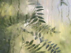 베일을 드러내며