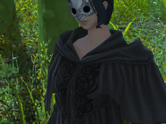 신종 식물은 저 하늘로