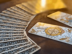 타로먕 지인 커미션