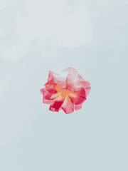 추억을 회상하는 순간