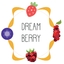 드림베리