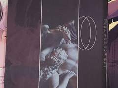 앙스타 회지 판매