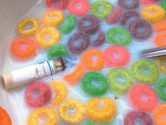 파주상업고등학교