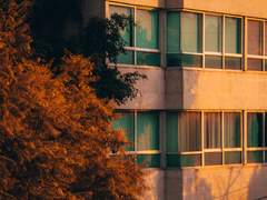 [후유타케] Sunset Orange