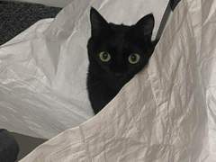 ☆RYONG🐉 커미션☆