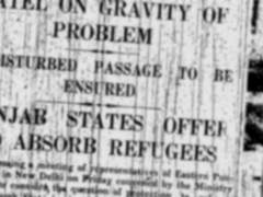 R 숲에서 새로운 변사체 발견…의문스러운 죽음, 계속되다