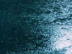 오늘도 당신의 밤은 한적하길.