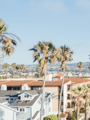 첫사랑의 유사어는 샛노란 여름