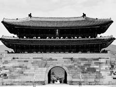 태양을 찬탈하라 十 (1부 完)