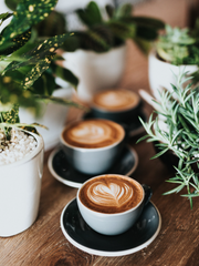 골목길 다방: 에스프레소맛 쿠키