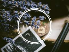 상시 글 커미션 공지사항