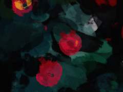 [MEMBERSHIP] 월간 빨간 석류