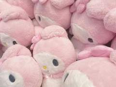 ॢ₍ᵔ·͈༝·͈ᵔ₎◞ ̑̑