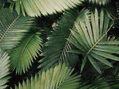 다니엘 B. 녹스 / XY / 호그와트 후플푸프 / 혼혈