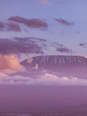 행앗고 캐자들 과거