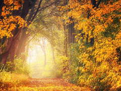 마침내 소설가의 꿈을 이루었지만 나는 불행하다고 느끼고 있었습니다.