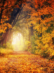 하루 한 편, 시를 써볼까