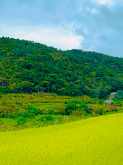 도시마을 난놈들 TALK