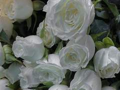 다시 누군가를 좋아하고,사랑할 수 있을까.