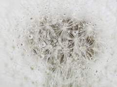 조금은 장난쳐도 괜찮잖아