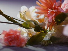 오, 나의 작가님! (13)