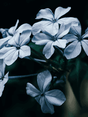 글 커미션/연성 교환