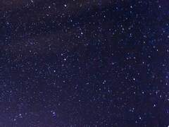 가리지 못하여 진실을 마주한 검은 뱀