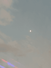 가시덩굴과 검은바다