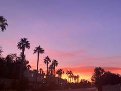 라이트 스카이 나이트