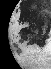 늑대 육아 일기