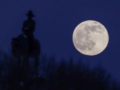 #1. 현상금 사냥꾼과 마피아