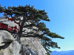 청명청문 썰백업