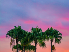 4화. 내가 잘못했어.