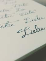 정매 배포전 [연리지]