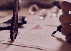 재미있는 농이네.