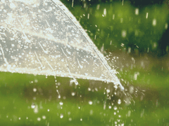 너희가 없는 지금