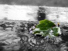 [뷔진/단편] 이 여름에 과외 선생님