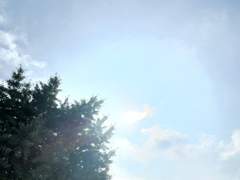 <책쓰기 프로젝트> 2주차 미션